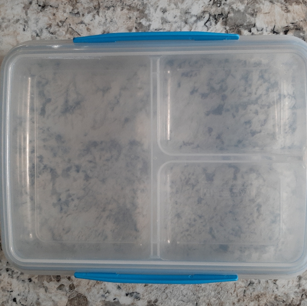 Blue Food Storage Container